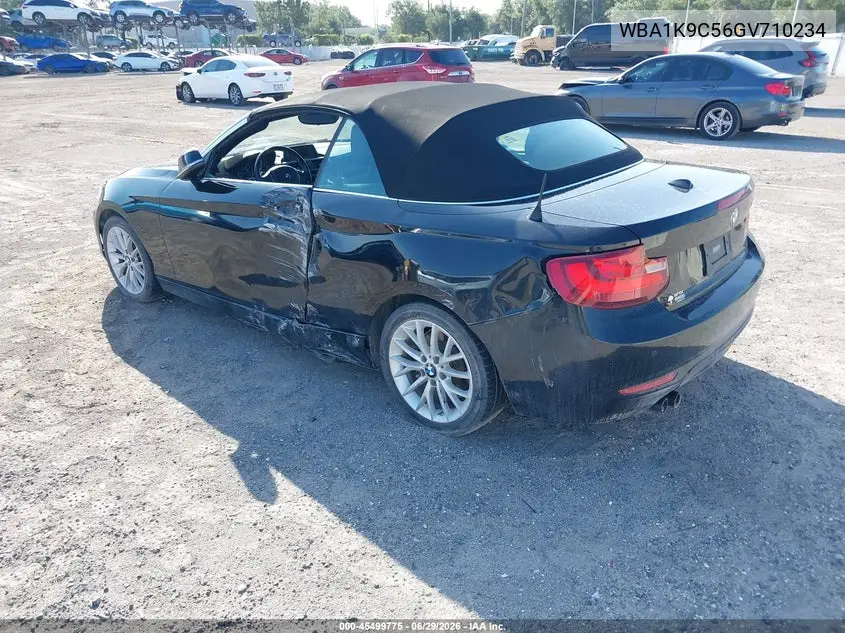 2016 BMW 228I VIN: WBA1K9C56GV710234 Lot: 45499775