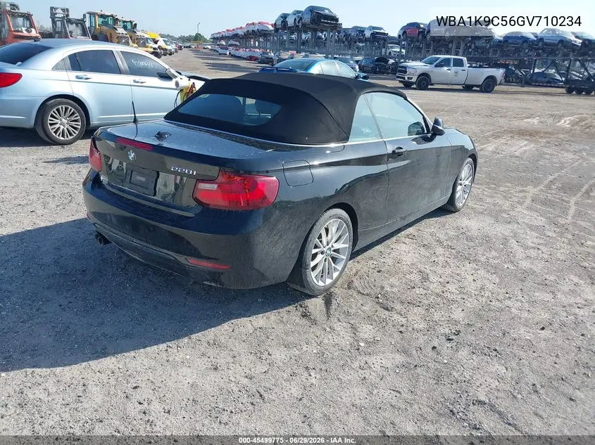 2016 BMW 228I VIN: WBA1K9C56GV710234 Lot: 45499775