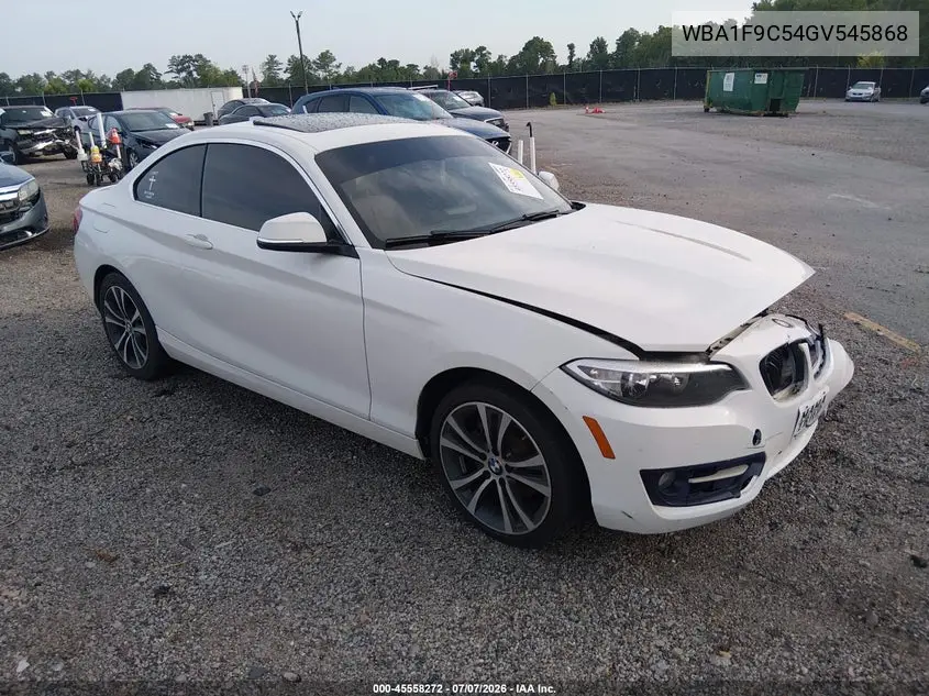 2016 BMW 228I VIN: WBA1F9C54GV545868 Lot: 45558272