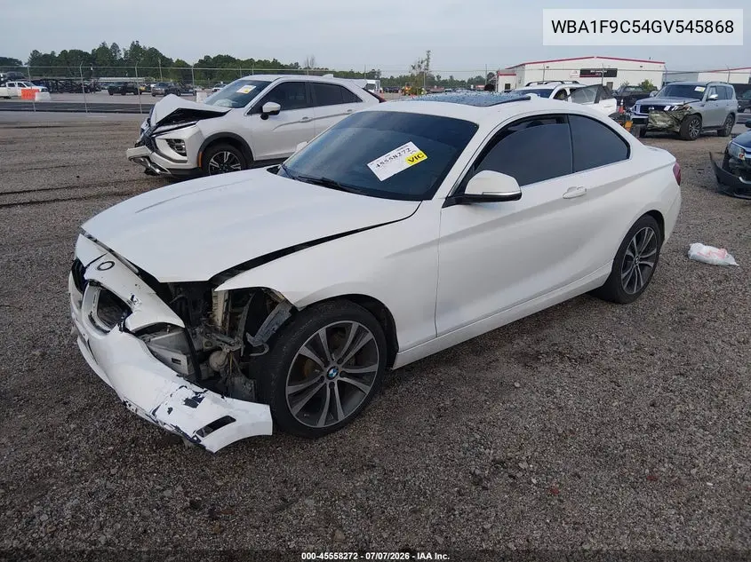 2016 BMW 228I VIN: WBA1F9C54GV545868 Lot: 45558272