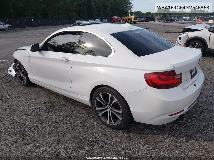 2016 BMW 228I VIN: WBA1F9C54GV545868 Lot: 45558272
