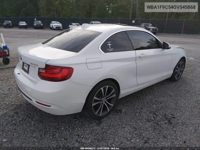 2016 BMW 228I VIN: WBA1F9C54GV545868 Lot: 45558272
