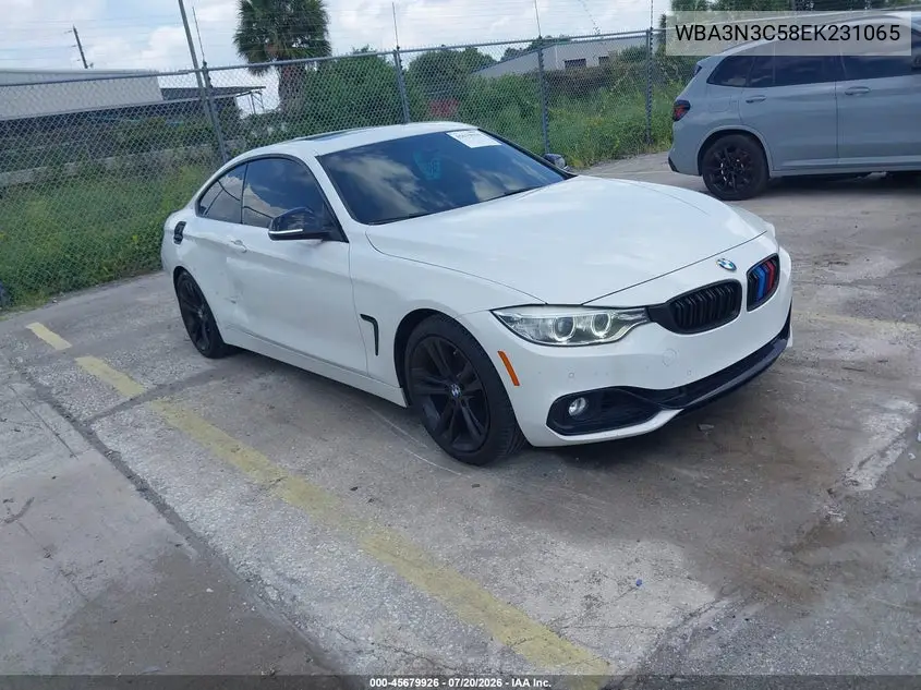 2014 BMW 4 Series 428I VIN: WBA3N3C58EK231065 Lot: 45679926