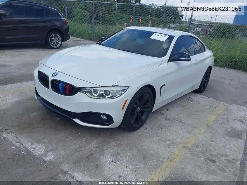 2014 BMW 4 Series 428I VIN: WBA3N3C58EK231065 Lot: 45679926