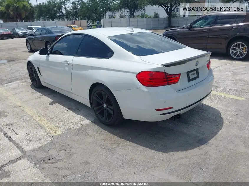 2014 BMW 4 Series 428I VIN: WBA3N3C58EK231065 Lot: 45679926