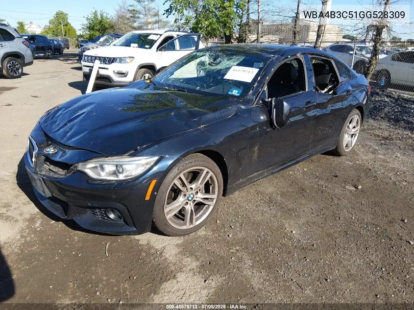 2016 BMW 435I Gran Coupe xDrive VIN: WBA4B3C51GG528309 Lot: 45579713