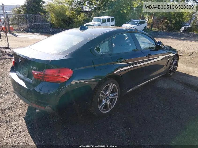 2016 BMW 435I Gran Coupe xDrive VIN: WBA4B3C51GG528309 Lot: 45579713