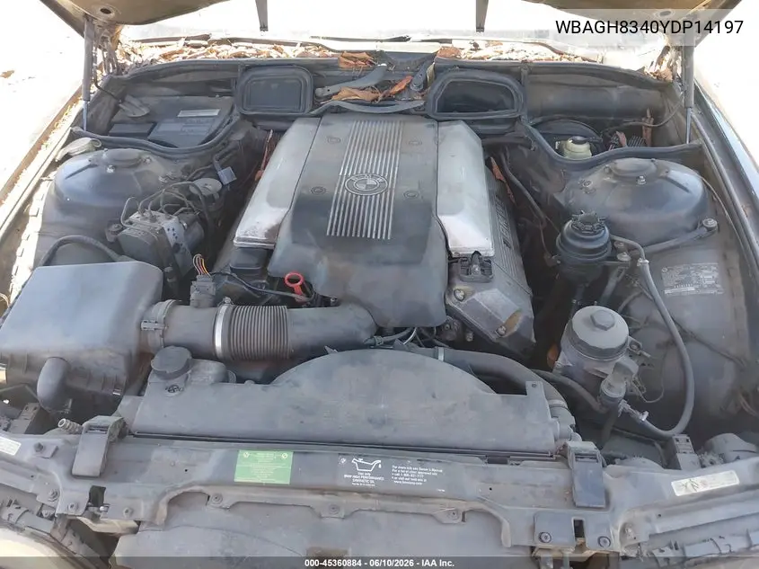 2000 BMW 740Il VIN: WBAGH8340YDP14197 Lot: 45360884