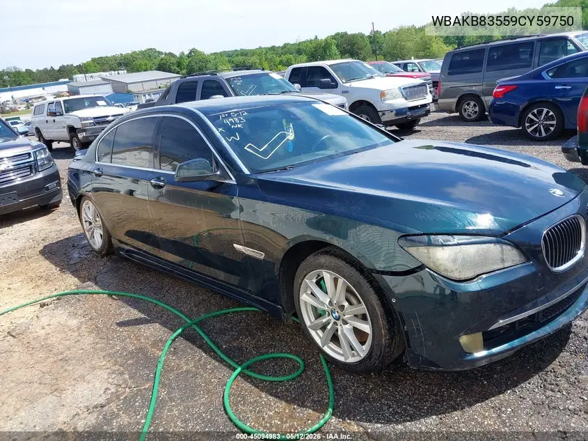 2009 BMW 750Li VIN: WBAKB83559CY59750 Lot: 45094983