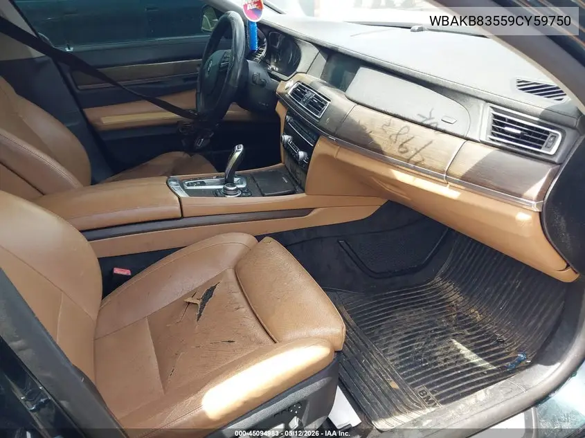 2009 BMW 750Li VIN: WBAKB83559CY59750 Lot: 45094983