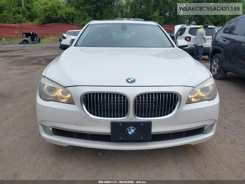 2010 BMW 750Li xDrive VIN: WBAKC8C55AC431159 Lot: 45501173