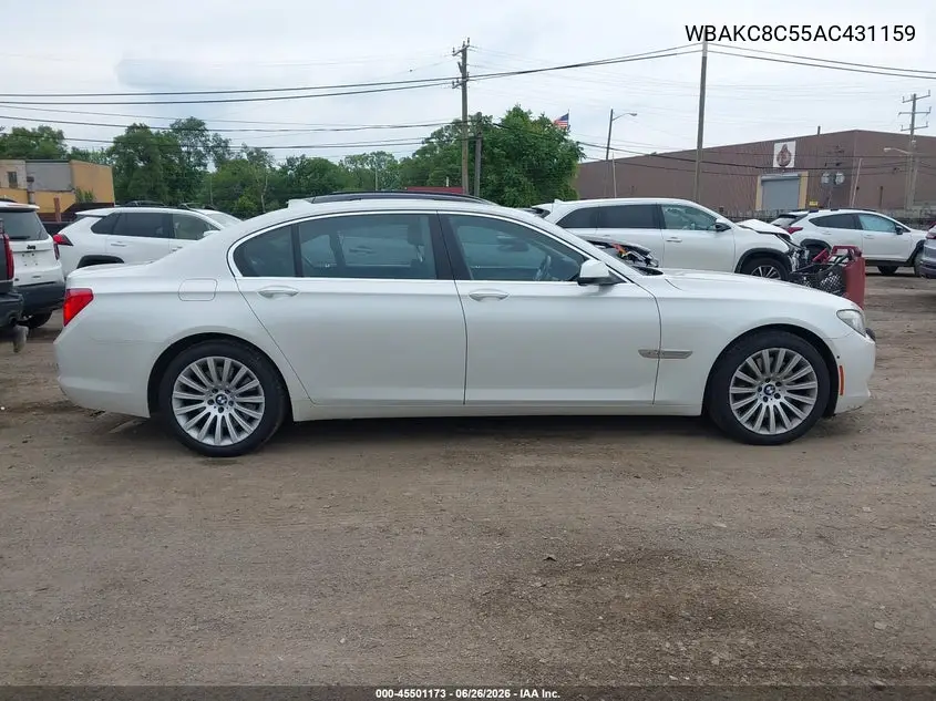 2010 BMW 750Li xDrive VIN: WBAKC8C55AC431159 Lot: 45501173