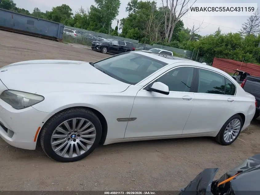 2010 BMW 750Li xDrive VIN: WBAKC8C55AC431159 Lot: 45501173