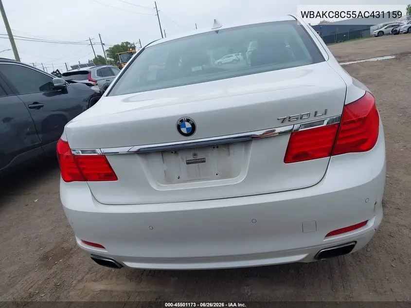 2010 BMW 750Li xDrive VIN: WBAKC8C55AC431159 Lot: 45501173