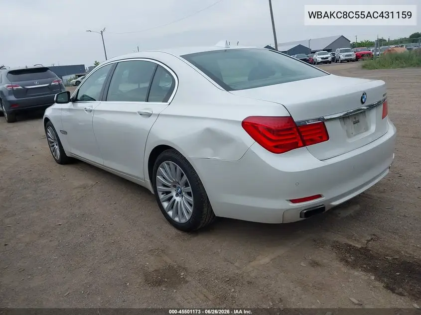 2010 BMW 750Li xDrive VIN: WBAKC8C55AC431159 Lot: 45501173