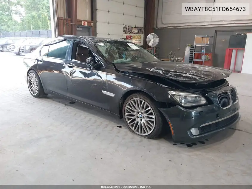 2015 BMW 750Li xDrive VIN: WBAYF8C51FD654673 Lot: 45495202