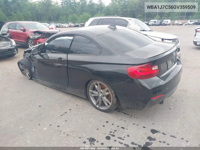 2016 BMW M235I VIN: WBA1J7C56GV359509 Lot: 45213692