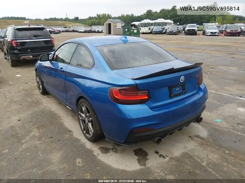 2016 BMW M235I xDrive VIN: WBA1J9C59GV695814 Lot: 45672819