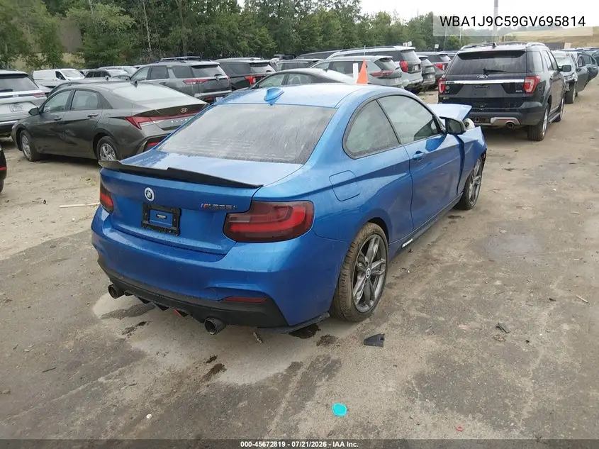 2016 BMW M235I xDrive VIN: WBA1J9C59GV695814 Lot: 45672819