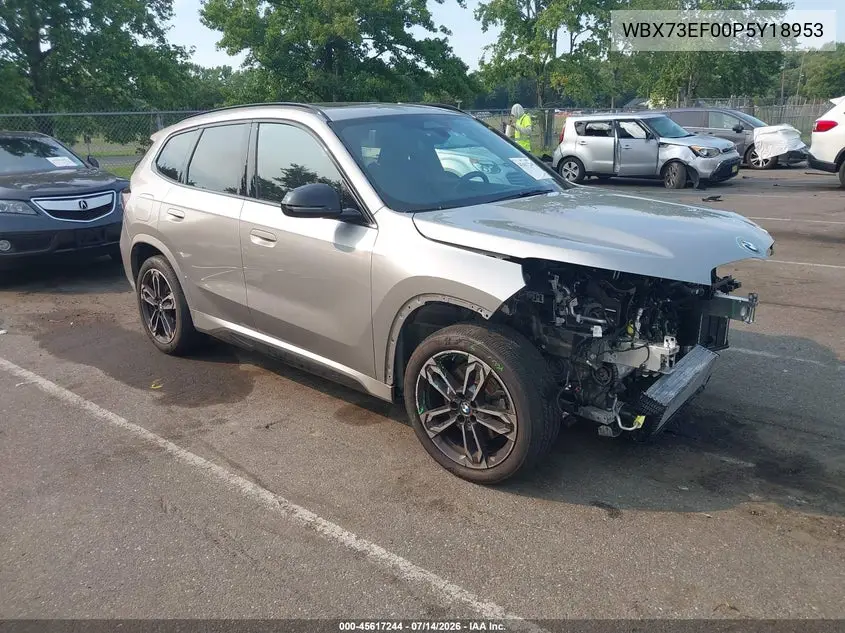 2023 BMW X1 xDrive28I VIN: WBX73EF00P5Y18953 Lot: 45617244