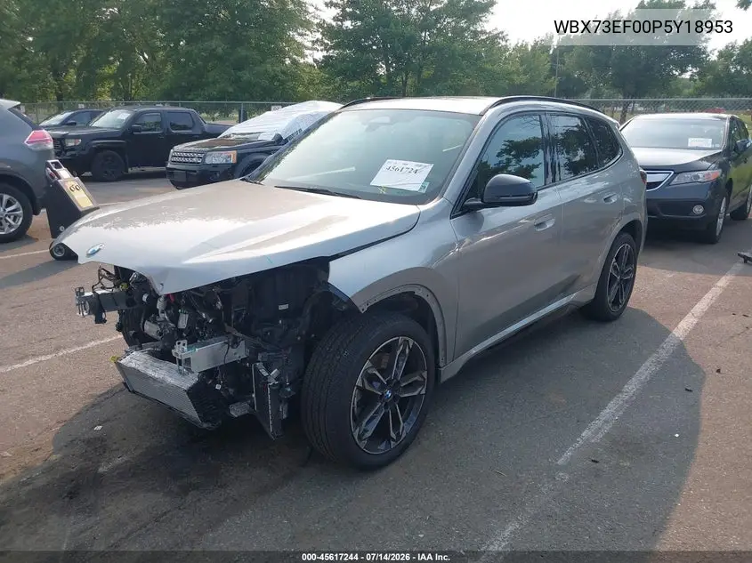 2023 BMW X1 xDrive28I VIN: WBX73EF00P5Y18953 Lot: 45617244