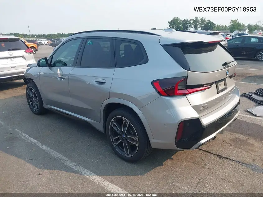 2023 BMW X1 xDrive28I VIN: WBX73EF00P5Y18953 Lot: 45617244