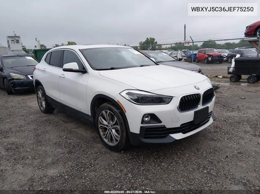 2018 BMW X2 xDrive28I VIN: WBXYJ5C36JEF75250 Lot: 45205338