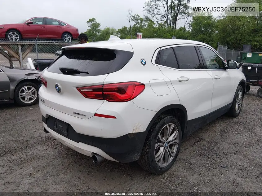 2018 BMW X2 xDrive28I VIN: WBXYJ5C36JEF75250 Lot: 45205338