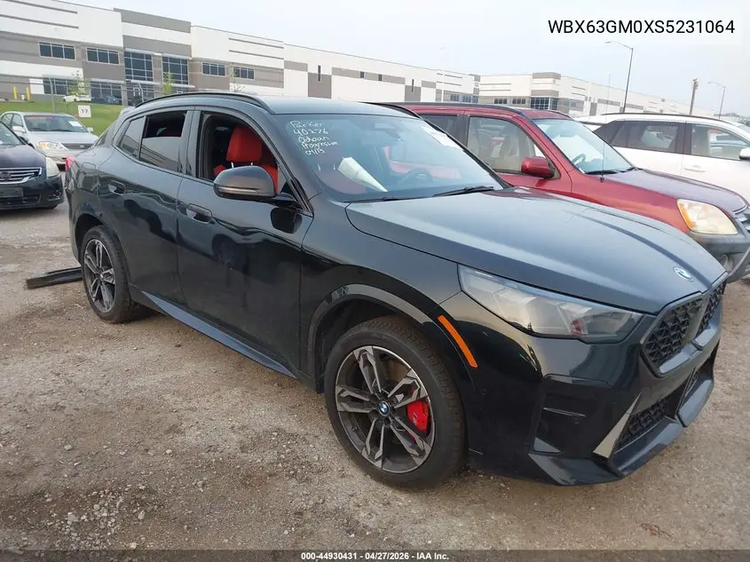 2025 BMW X2 xDrive28I VIN: WBX63GM0XS5231064 Lot: 44930431