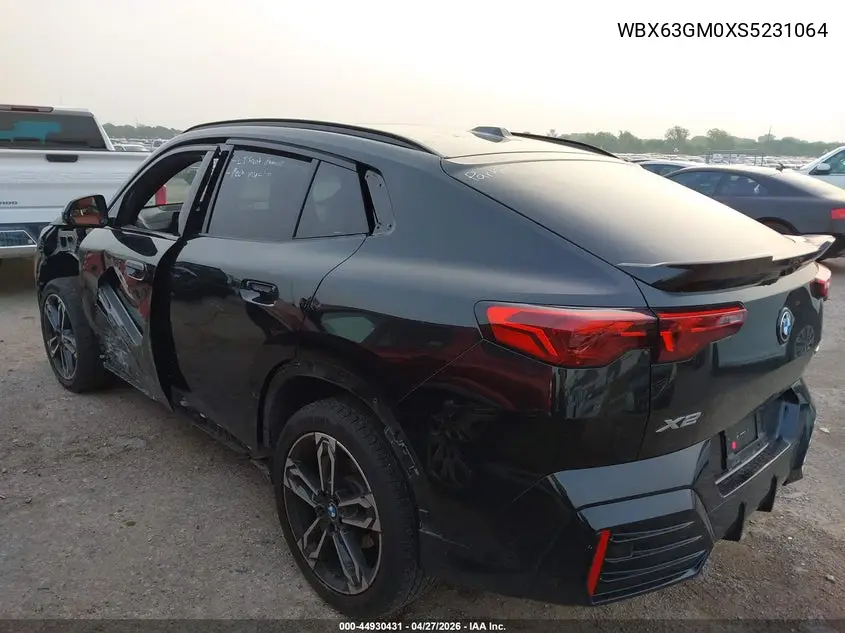 2025 BMW X2 xDrive28I VIN: WBX63GM0XS5231064 Lot: 44930431