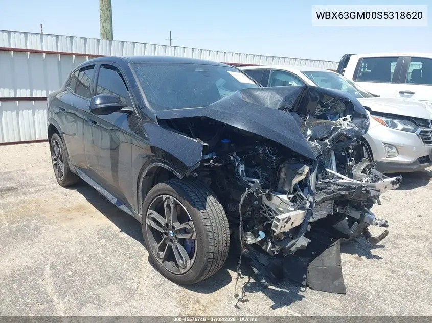 2025 BMW X2 xDrive28I VIN: WBX63GM00S5318620 Lot: 45576746