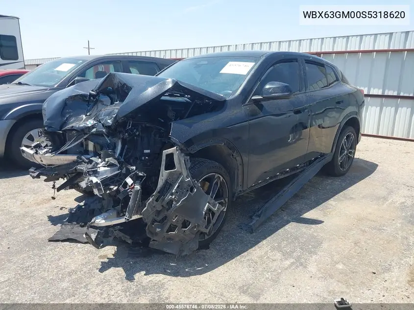 2025 BMW X2 xDrive28I VIN: WBX63GM00S5318620 Lot: 45576746