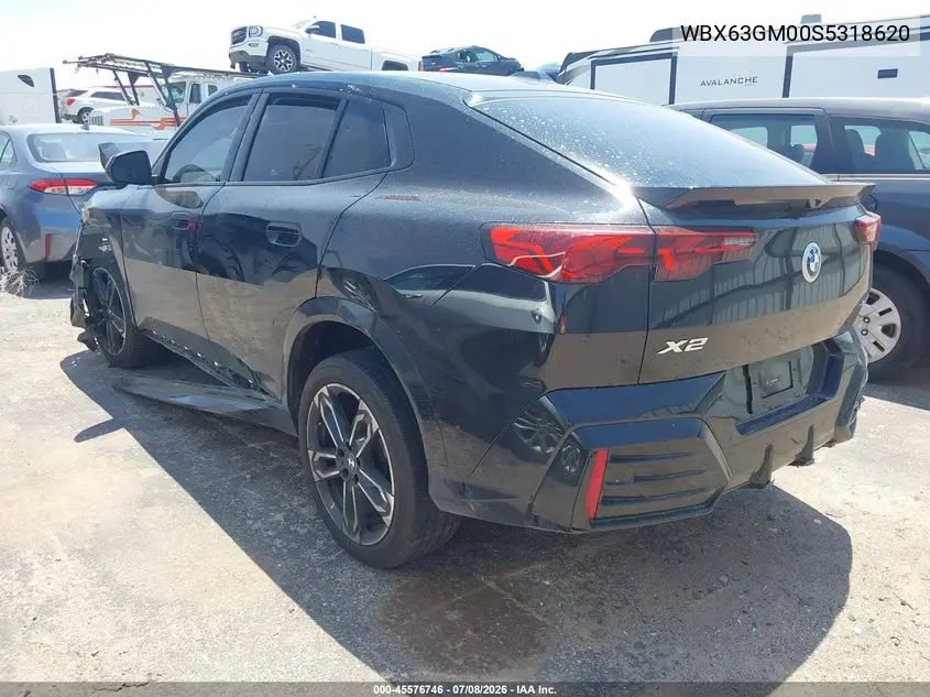2025 BMW X2 xDrive28I VIN: WBX63GM00S5318620 Lot: 45576746