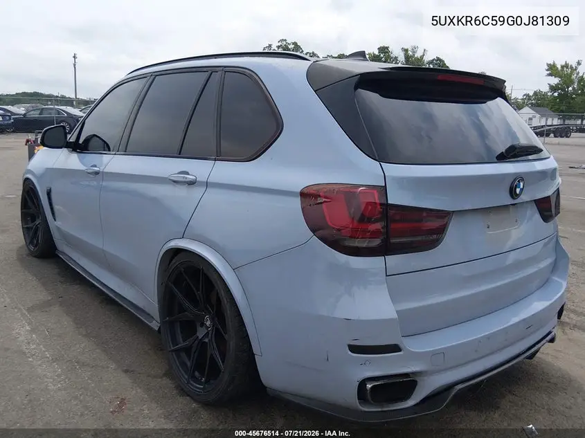 2016 BMW X5 xDrive50I VIN: 5UXKR6C59G0J81309 Lot: 45676514