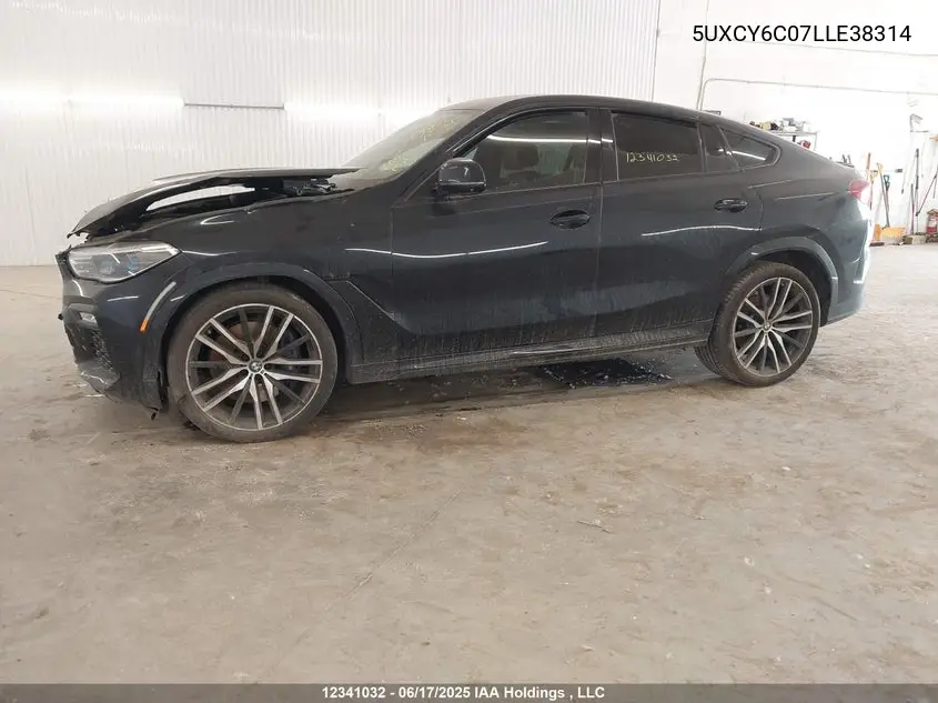 2020 BMW X6 xDrive40I VIN: 5UXCY6C07LLE38314 Lot: 12341032