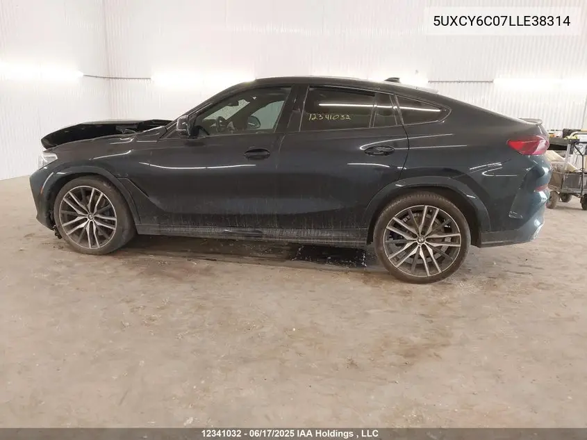2020 BMW X6 xDrive40I VIN: 5UXCY6C07LLE38314 Lot: 12341032