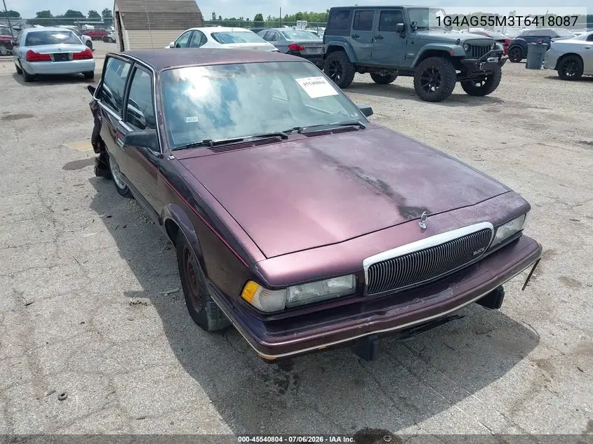 1996 Buick Century Special/Custom/Limited VIN: 1G4AG55M3T6418087 Lot: 45540804