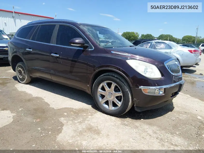 2009 Buick Enclave Cxl VIN: 5GAER23D89J213602 Lot: 45382201