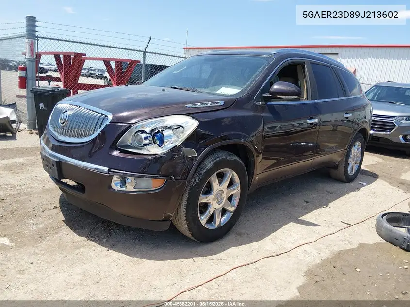 2009 Buick Enclave Cxl VIN: 5GAER23D89J213602 Lot: 45382201