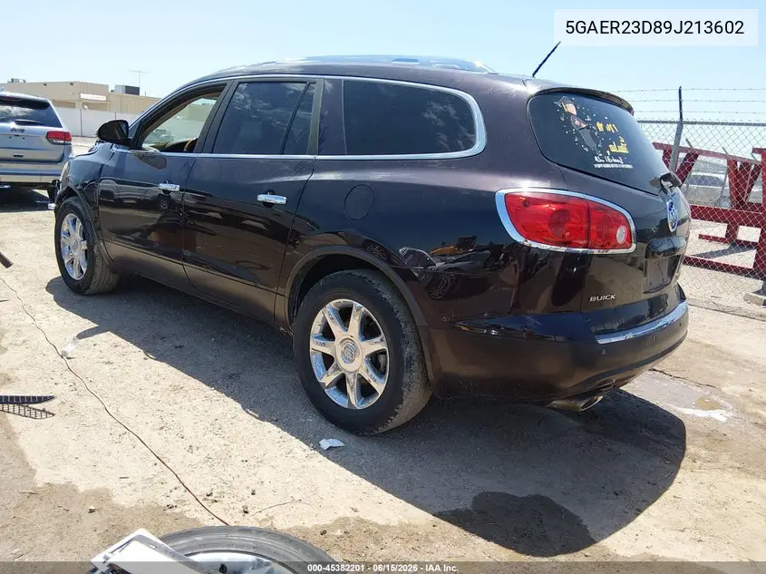 2009 Buick Enclave Cxl VIN: 5GAER23D89J213602 Lot: 45382201