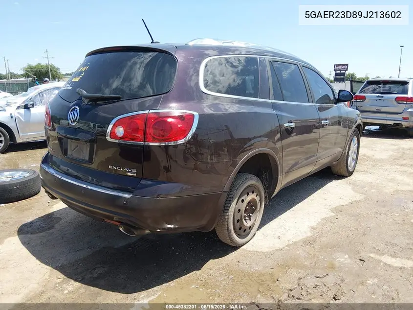 2009 Buick Enclave Cxl VIN: 5GAER23D89J213602 Lot: 45382201