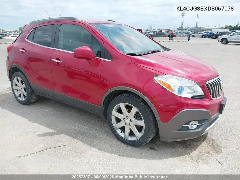 2013 Buick Encore VIN: KL4CJGSBXDB067078 Lot: 20257307