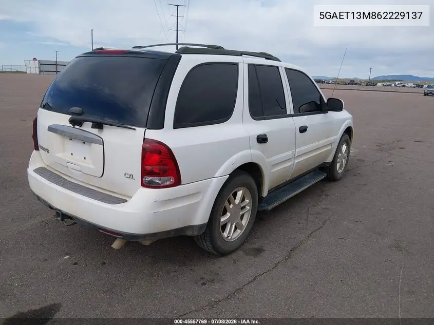 2006 Buick Rainier Cxl VIN: 5GAET13M862229137 Lot: 45557769