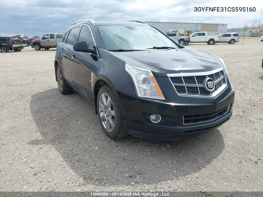 2012 Cadillac Srx Premium Collection VIN: 3GYFNFE31CS595160 Lot: 12609384