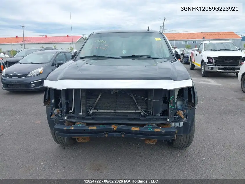 2009 Chevrolet Avalanche 1500 Ls/Ltz VIN: 3GNFK12059G223920 Lot: 12624722x