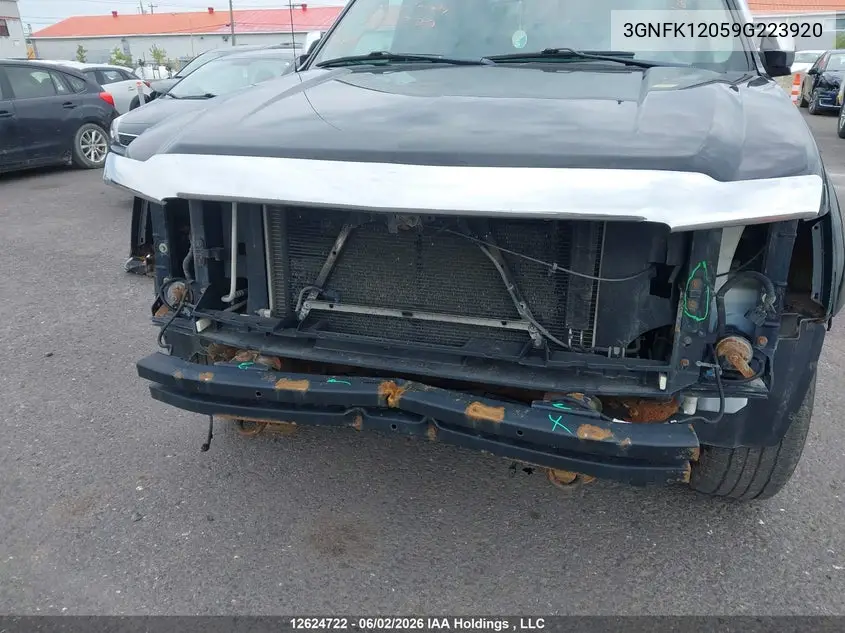 2009 Chevrolet Avalanche 1500 Ls/Ltz VIN: 3GNFK12059G223920 Lot: 12624722x