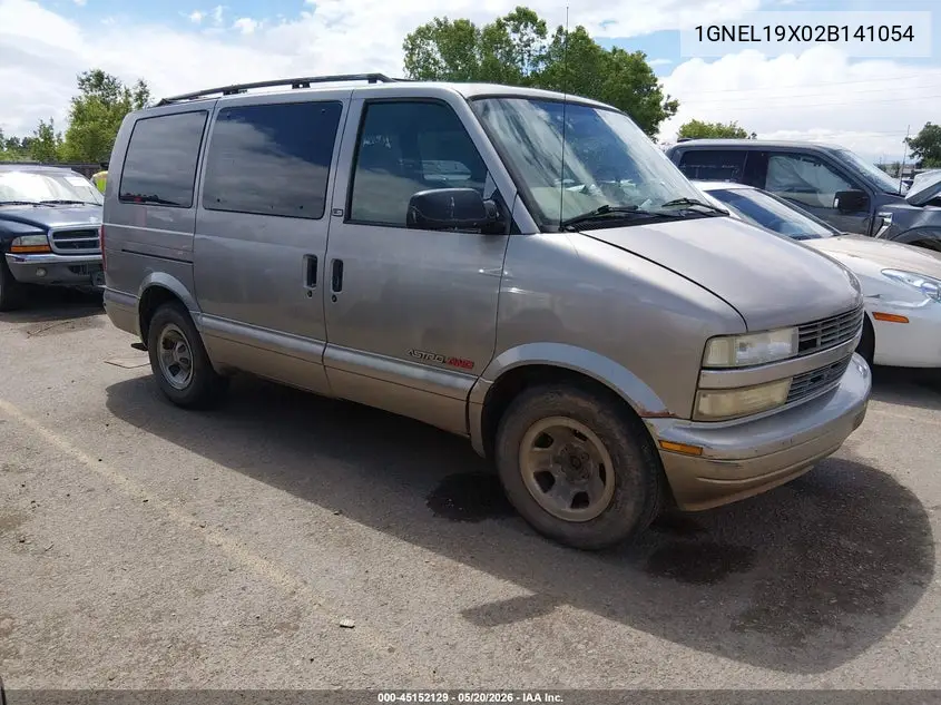 2002 Chevrolet Astro Ls VIN: 1GNEL19X02B141054 Lot: 45152129