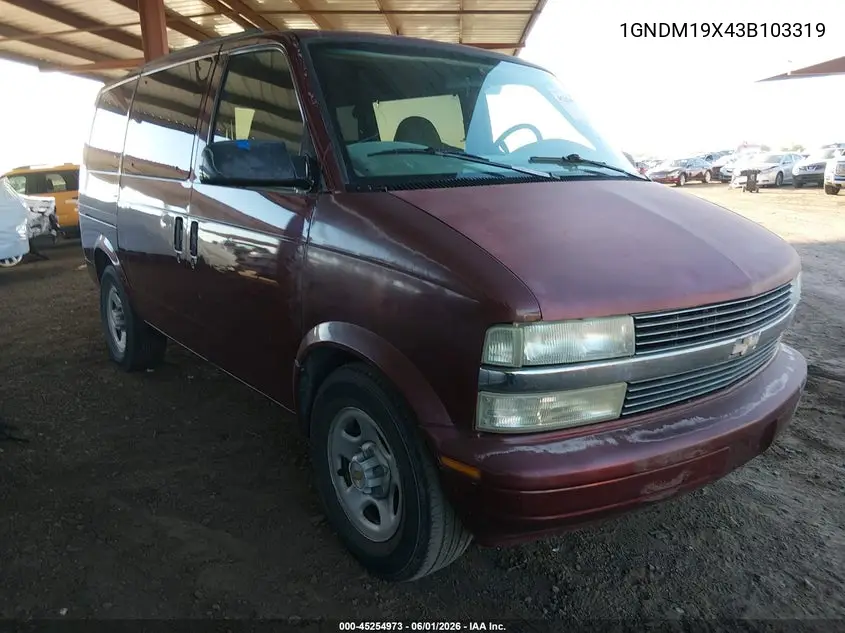 2003 Chevrolet Astro VIN: 1GNDM19X43B103319 Lot: 45254973