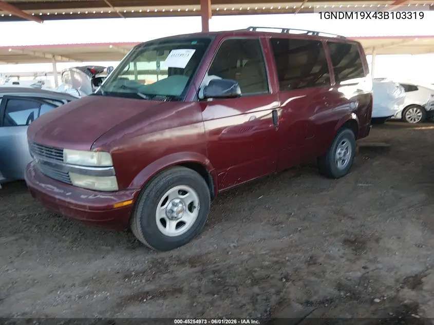 2003 Chevrolet Astro VIN: 1GNDM19X43B103319 Lot: 45254973