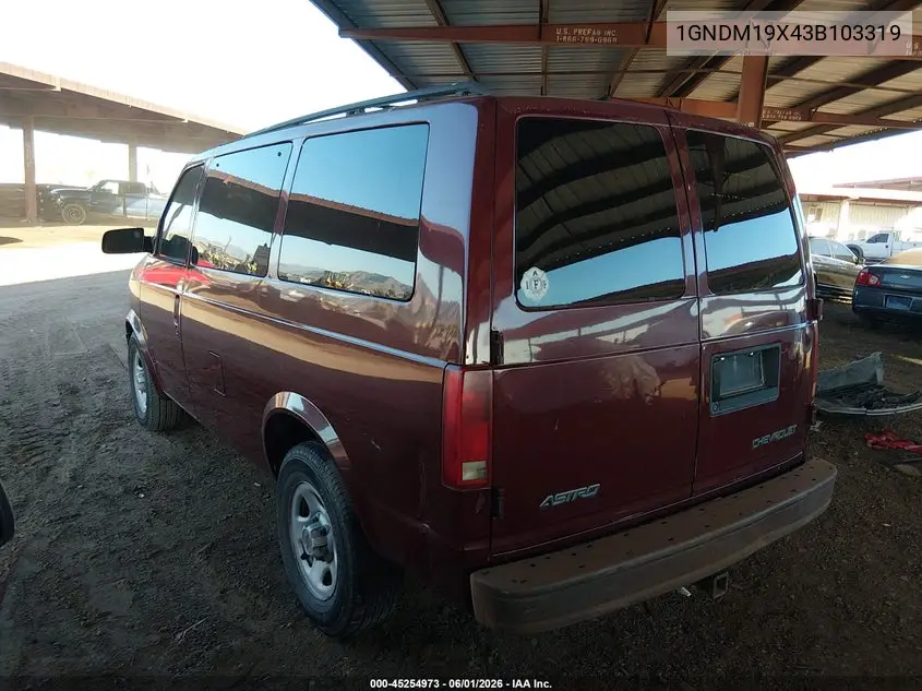 2003 Chevrolet Astro VIN: 1GNDM19X43B103319 Lot: 45254973